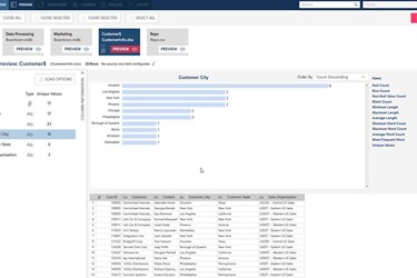 Get Started with Altair® Monarch® | Part 3: Preview Data