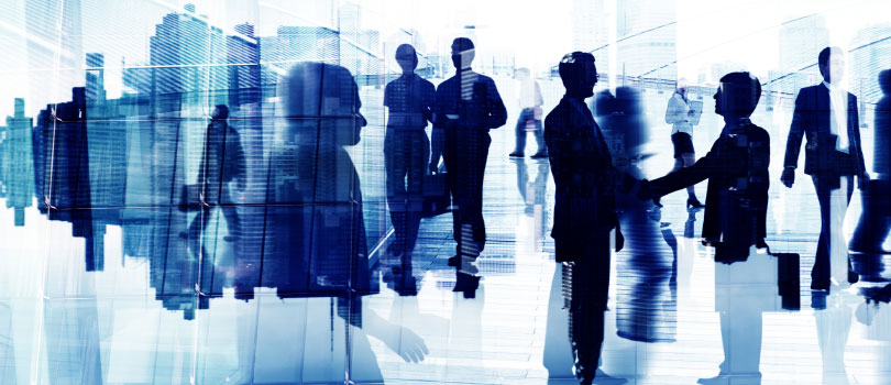 Altair Partner Alliance (APA)