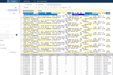 Daily Debit Reconciliation using Altair Monarch