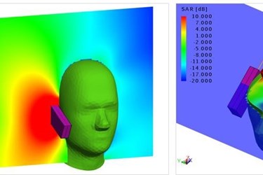 Electromagnetic Exposure Evaluation of Basic Restrictions in ICNIRP Guidelines with Feko