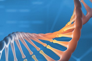 Accelerating Cloud-based Genomics Pipelines Through I/O Profiling for Analysis of More Than 3,000 Whole Genome Pairs on AWS