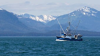 Icicle Seafoods