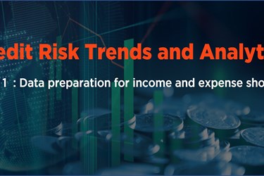 [Credit Risk Webinar Series] Data preparation for income and expense shocks
