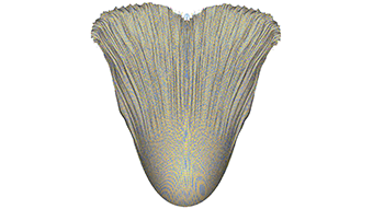 Lay-up Simulations to Choose the Best Fabric Pattern for an Aeronautic Radome
