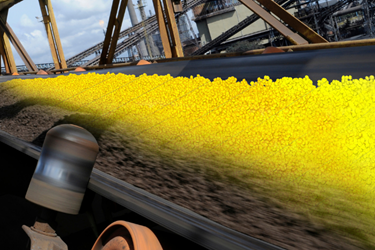 Optimizing the Productivity of Mines with Bulk Material Simulation