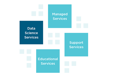Data Analytics Assessment Service